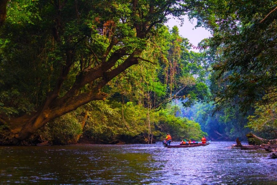 Full Day Taman Negara Tour from Kuala Lumpur (Private)