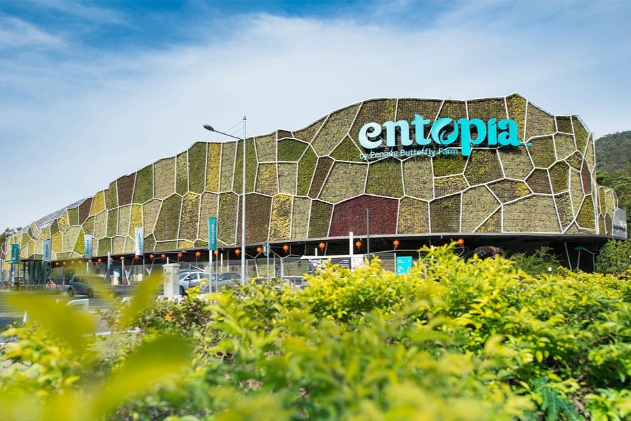 Penang Entopia Butterfly Farm Tickets (Malaysian)