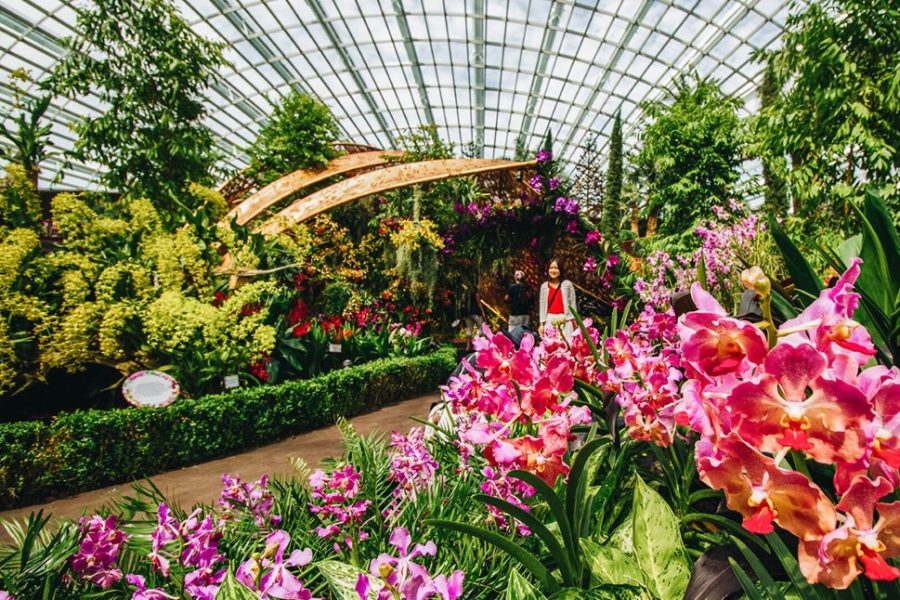 Gardens by the Bay Singapore Ticket – Flower Dome + Super Tree (Foreigner)